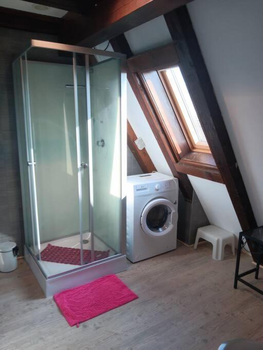 Gite Les Papillons Ribeauville  Exterior photo